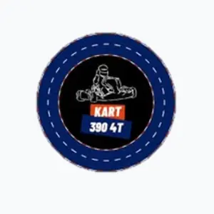 Imagen sobre la categoría Karting 390